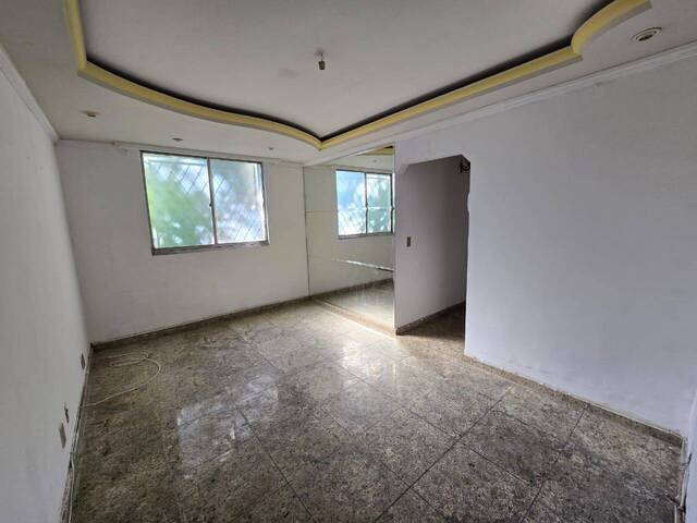 Locação em Havaí - Belo Horizonte